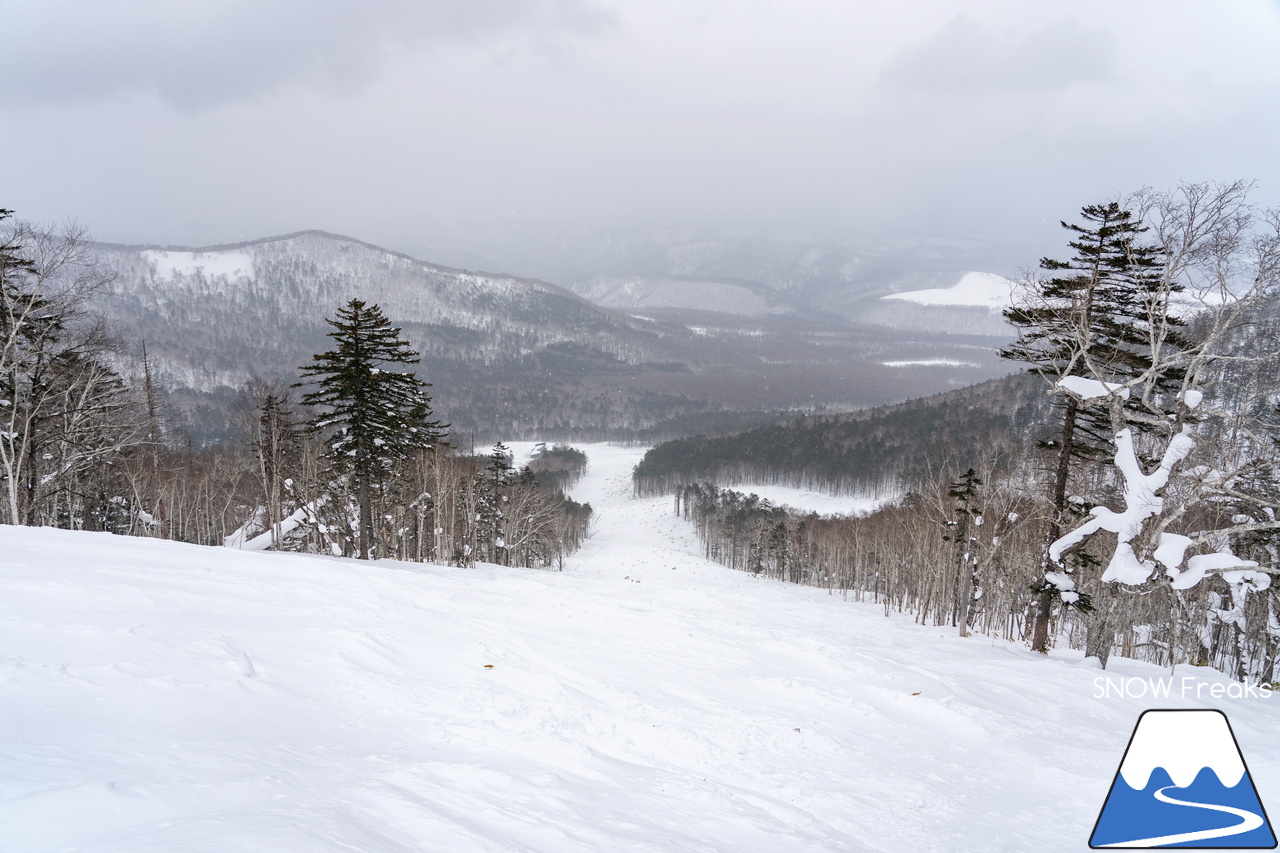 十勝サホロリゾート｜あの記録的な大雪から１週間…。ゲレンデのコンディションは、この上ないほど良好です(^^)v